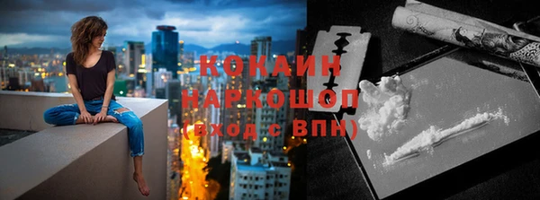 дживик Белокуриха