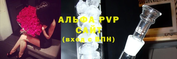 дживик Белокуриха